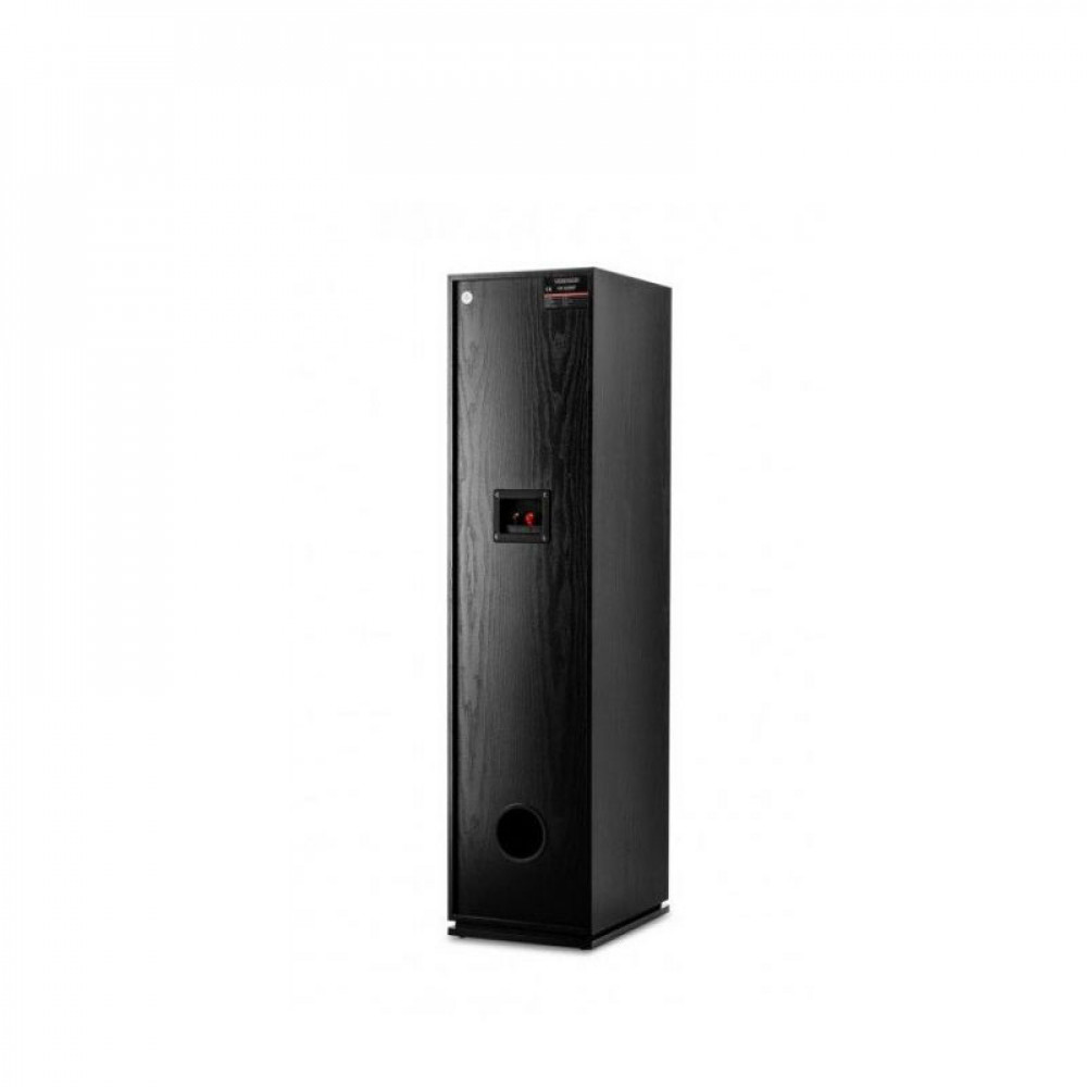 BOXE PODEA VOICE KRAFT VK 6300-2