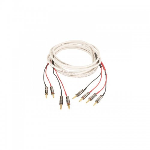 CABLU BOXE BLACK RHODIUM JIVE