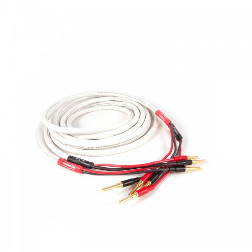 CABLU BOXE BLACK RHODIUM TANGO